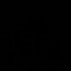 Meet your Posher, Ivan